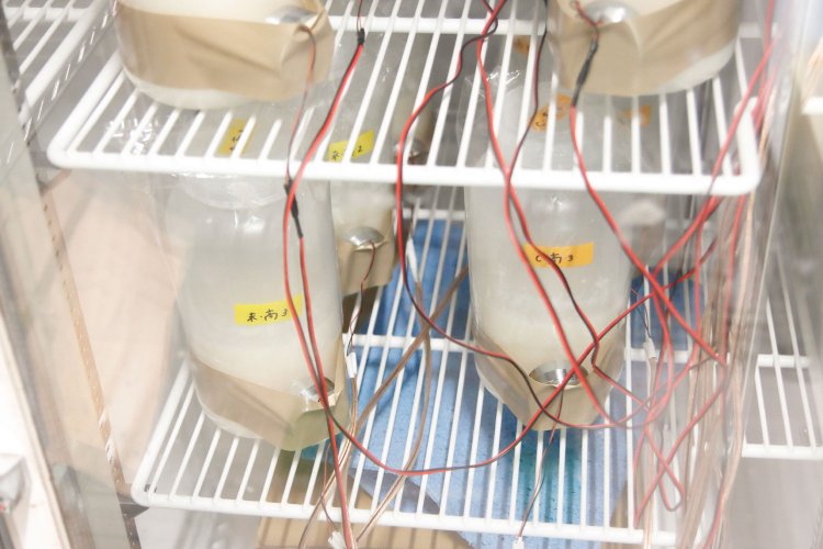 お酒に音楽を聴かせてどうなるかを実験中。