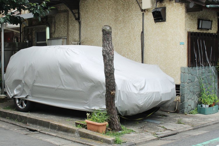 「切られた木」は、街角で独特の存在感を放つ。