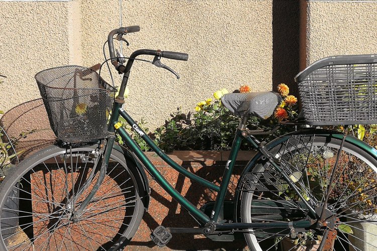 2020年12月15日、花壇に変身していた（同上）。