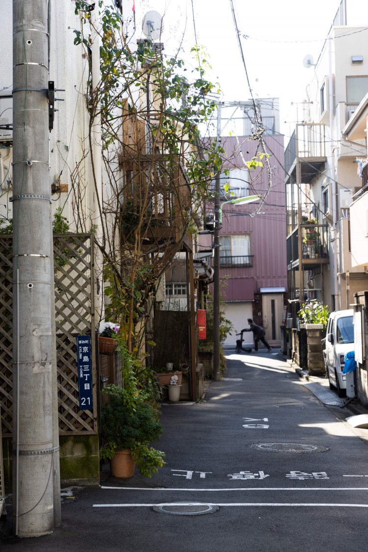 向島曳舟押上 ドンツキ18