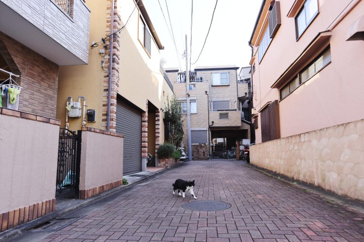 向島曳舟押上 ドンツキ5