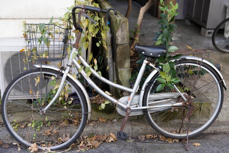 向島曳舟押上 ドンツキ17