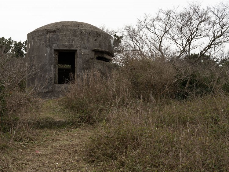 海岸側から見た監視所。土台部分に段がある。このあたりに被弾塀と引込線があったのではと推測してみた。