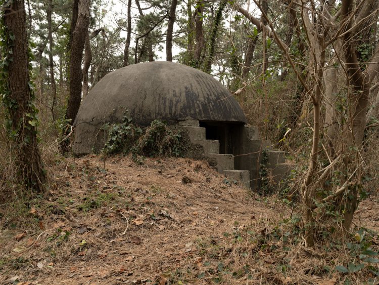 周囲はそこそこ土が盛られている。監的所の壁面から草が生えてきているのは自然に還った遺構の定めであろう。