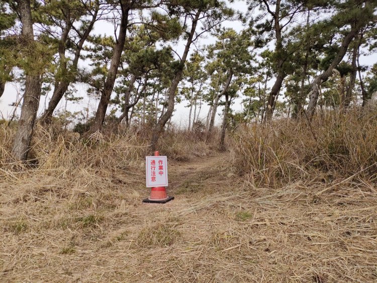 道路から脇道へと入る。最初通行禁止かと思ったが草刈り作業中の注意であった。