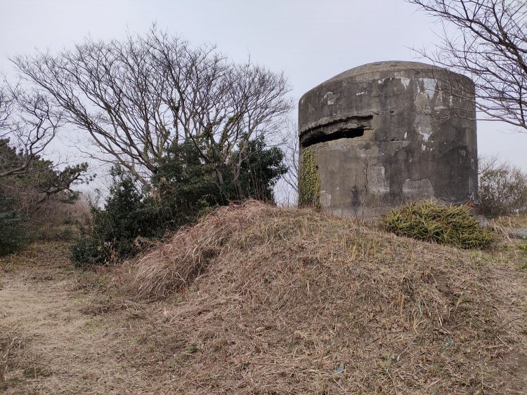 「憎めない顔つき」というのはこういう姿なのだろうか。少々間抜けているフォルムだ。