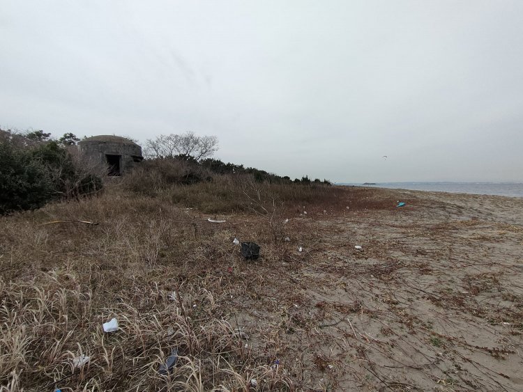 東京湾を望む海岸線にポツンと佇む遺構。終戦から77年間、発展を続ける東京を遠望してきた。