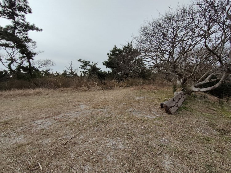 来た道を戻る。ベンチが腐っているここは盛土になっている部分で引込線が分岐していたのではと推測。