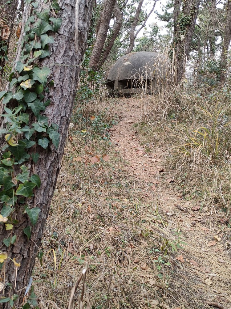どうやら旧ザクが埋まっている様子……。