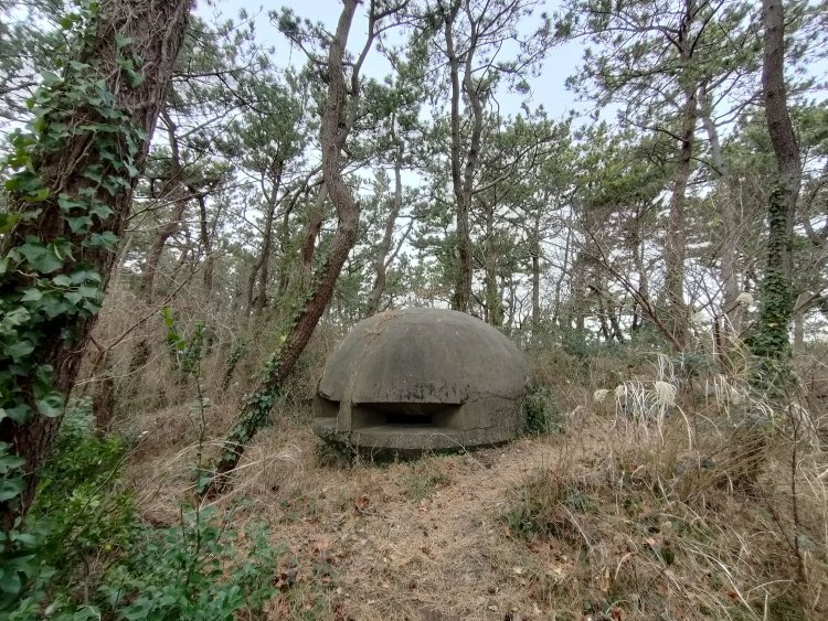 松林に埋まる旧ザク。近接攻撃を仕掛けようと偽装し松林に埋めた旧ザクが一年戦争後も放置されていたなどと勝手に連想したが、これは立派な戦争遺構。監的所である。