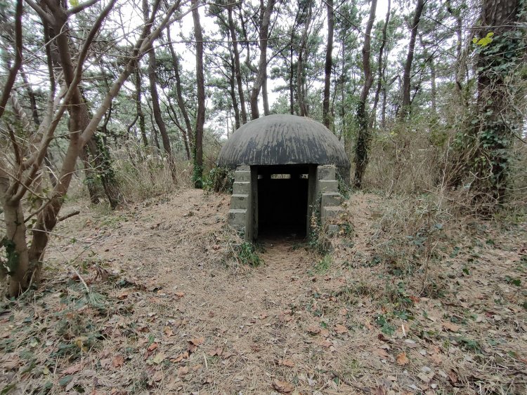 裏側が入り口だ。土盛りで埋まっていたが入り口側は屈むと入れるほどの高さである。気を緩むと天井に頭をぶつけるので注意（痛かった）。