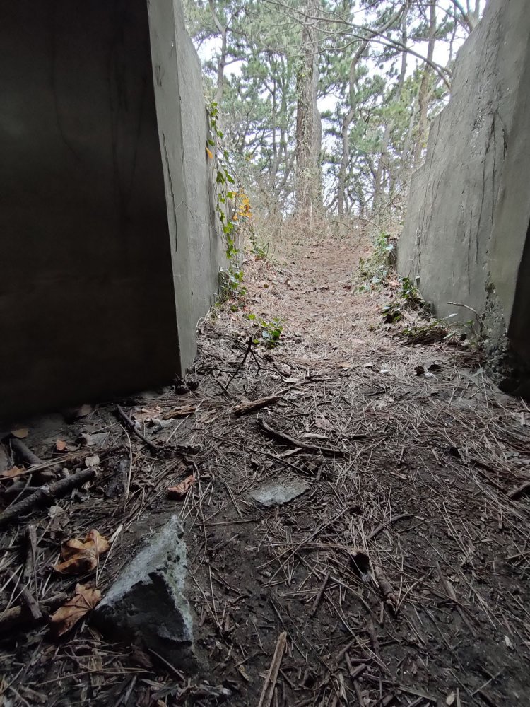 内部は土が入り込んでいる。気をつけないとこういった構造物につまずく。これは遺構なのか不明であった。