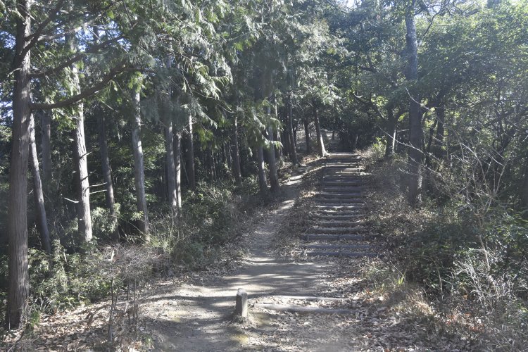 北条氏邸跡側の登り口から守山山頂を目指す。かなり足にくる急坂だ。