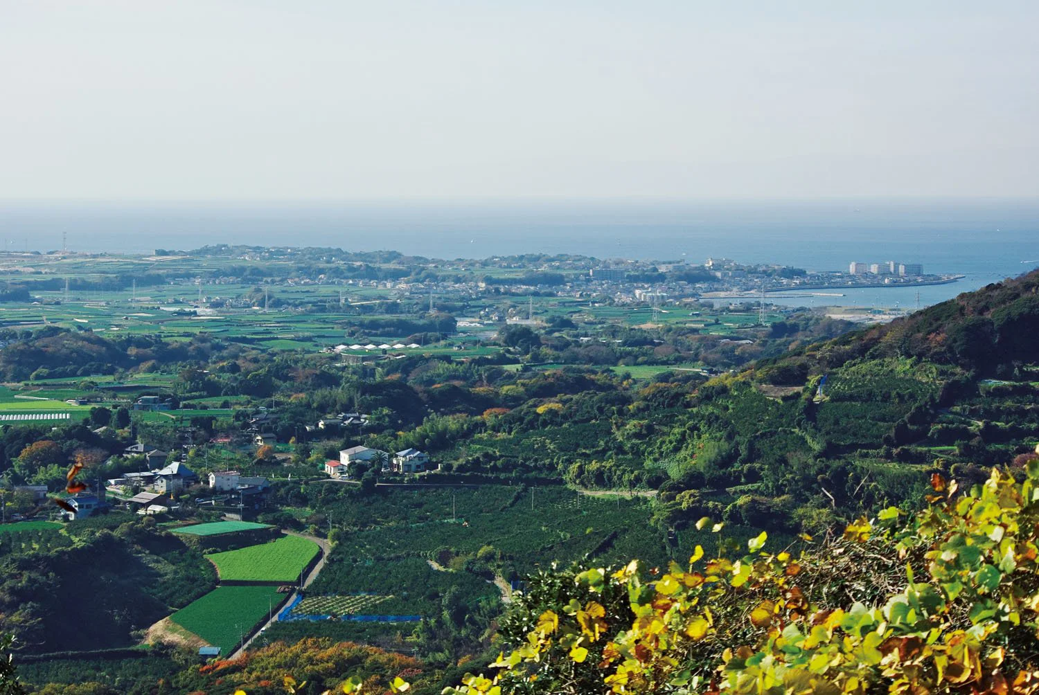三浦半島の先っちょ三浦富士 富士信仰が根付く山へ 東京発日帰り山さんぽ さんたつ By 散歩の達人 三浦半島の先っちょ三浦富士 富士信仰が根付く山へ 東京発日帰り山さんぽ さんたつ By 散歩の達人