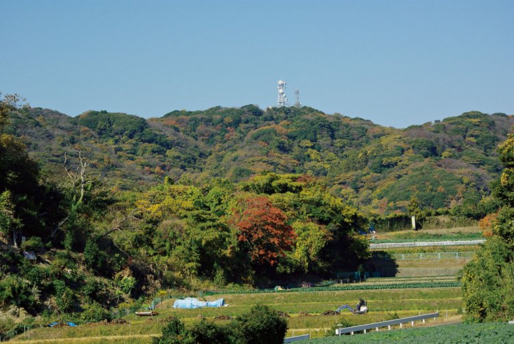 麓から見える砲台山（大塚山）。山頂に海上保安庁の受信所があり、パラボラアンテナが立つ。