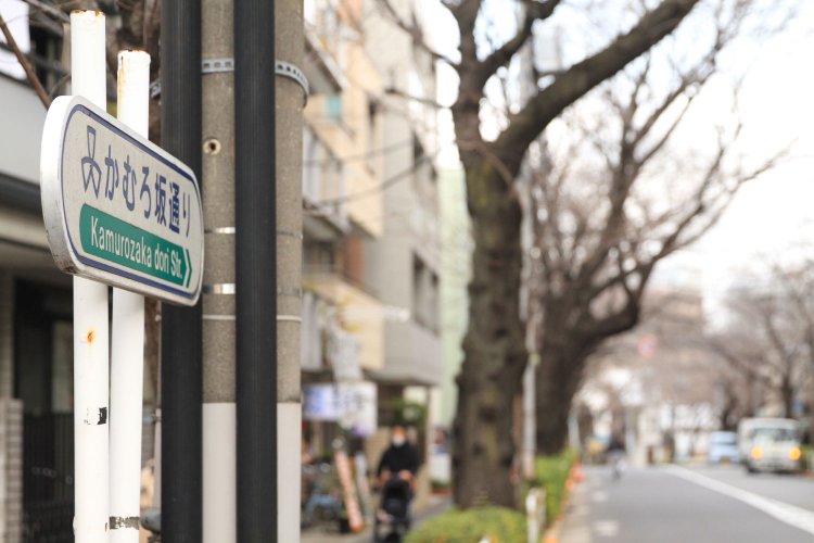 林試の森公園を出て南東へ向かうと、かむろ坂通りに出る。春は沿道の桜が美しい。