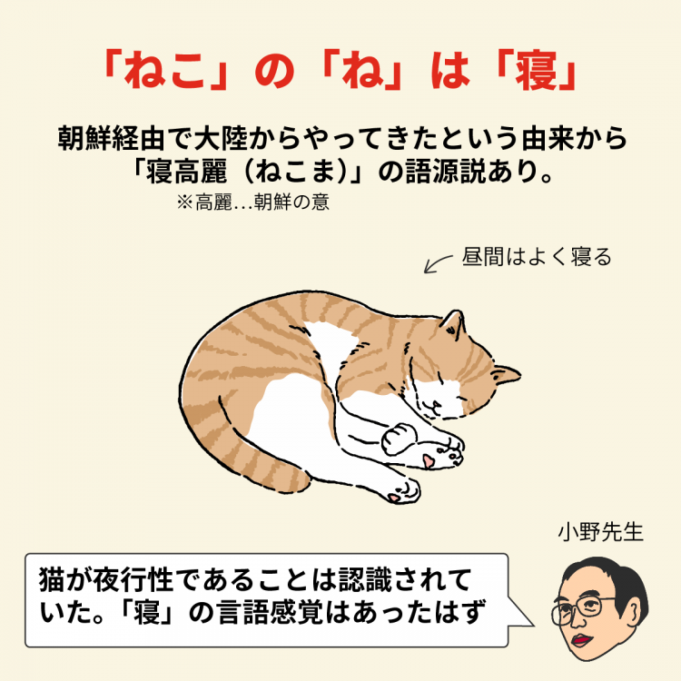 ねこ」はなぜ「ニャー」と鳴く？ことばから掘り下げる日本の猫文化｜さんたつ by 散歩の達人