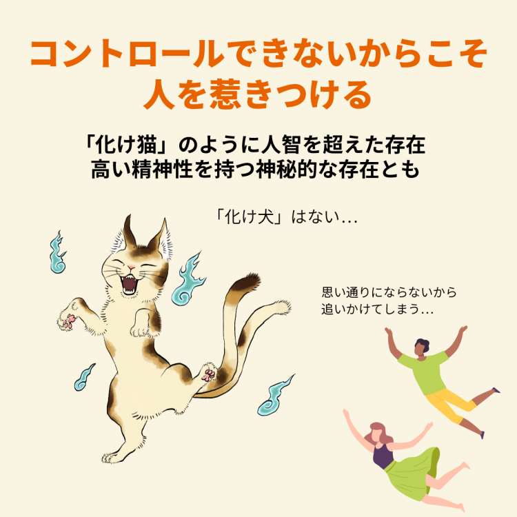 4コマことば図鑑　猫