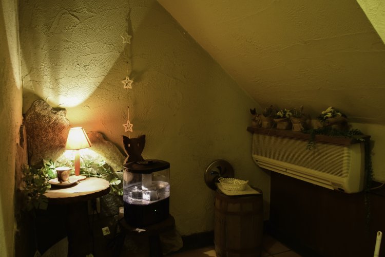 こちらは秘密の小部屋。……ではなく、実はトイレの個室内部！