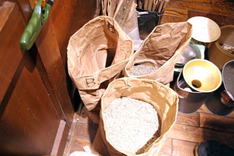 焙煎前の生豆。豆の状態によっても焙煎の加減が変わってくる。
