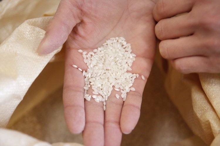 「丁寧に造れば、きれいなお酒になる」という信念のもと、等外米の酒米「山田錦」や冷蔵保存された古米なども使う。