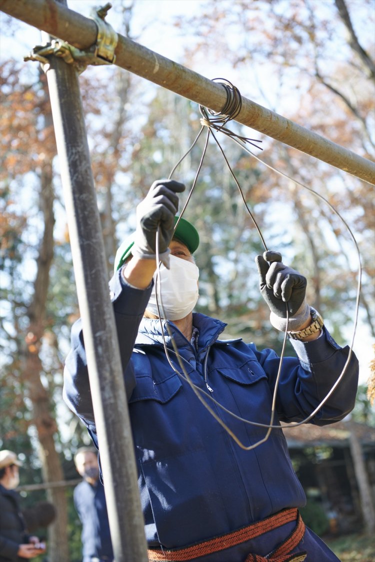 杉玉づくりにはさまざまなやり方があるが、ここでは杉の葉を針金に吊るす方式。サイズ によって針金の太さを調整するのがポイント。