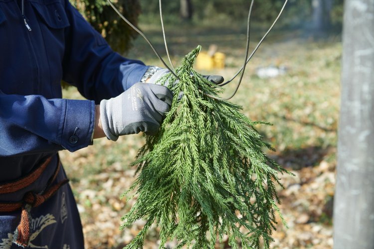 針金の上に杉の葉をどんどん乗せていく。ただ乗せるだけだと落ちてしまうので、針金に引っかける。この作業が約30分続いた。