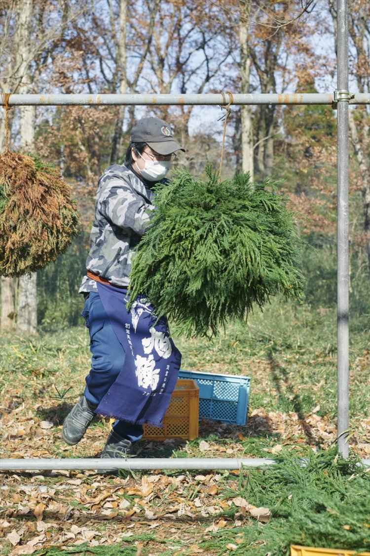 重ねた杉の葉を針金ごとぐるぐる回す中新井田さん。全体をギュッと締めるためにはこの作業が重要。何となく海ぶどうに見えてきた。