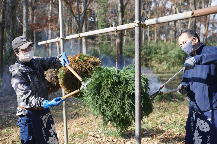 丸くするためにひたすら刈り込みます。最初はざっくりと大胆に、仕上げは繊細に。表面 を触ったときにチクチクするぐらいがベスト。