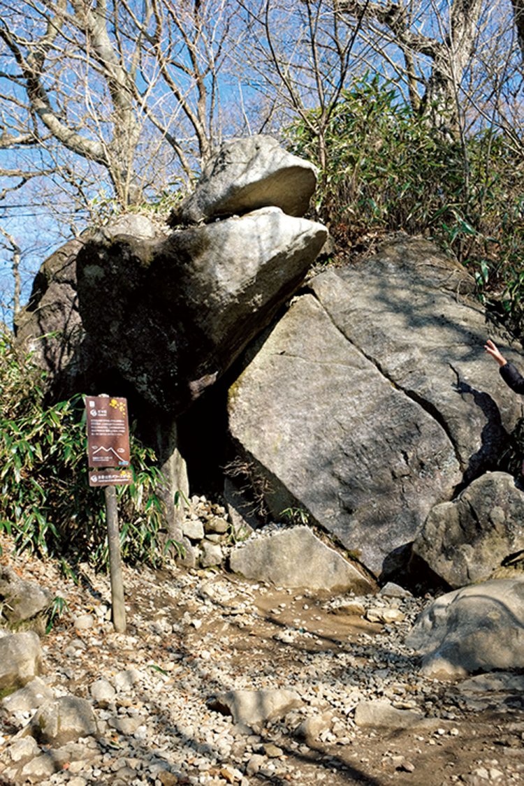 元は雄龍石といったが、永井兵助が「ガマの油売り口上」を考えだしたことでガマ石に。似ている。