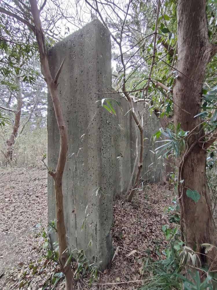 監的塀の内側部分。コンクリート塀には若木が育っていた。かつては建屋があったのかもしれない。