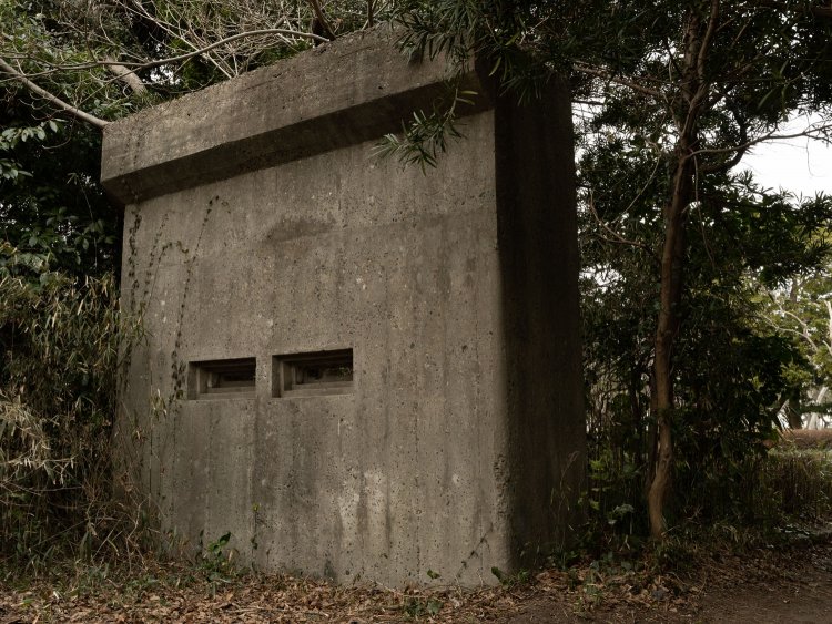 こうして見るとヌリカベ(無表情)に思えてくる。