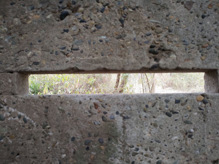 小窓から覗いてみる。この先に射入窖があるはずなのだが木々が邪魔をして見えない。