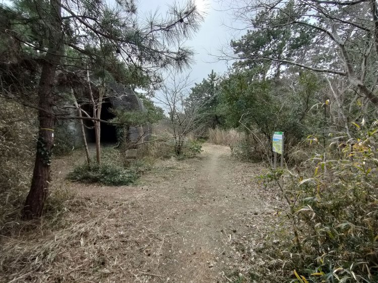 ちょっと歩いた左手に突如として現れる射入窖。遠目からだとトンネルの入り口かと思ってしまった。