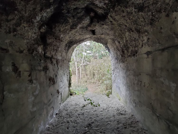 振り返ってみる。洞窟にいる気分だ。幅は狭い。茂みの奥に先ほどの監的塀がある。50m先からこの狭い穴を狙ったのだ。時には外れることもあったことだろう。