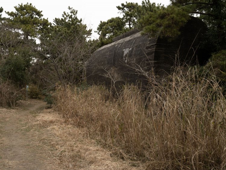 射入窖の全容。茂みの中にこれだけがポツンとあるのだから違和感を覚えずにはいられない。閉塞側は蓋をされているかのように分厚いコンクリートが接合されていた。