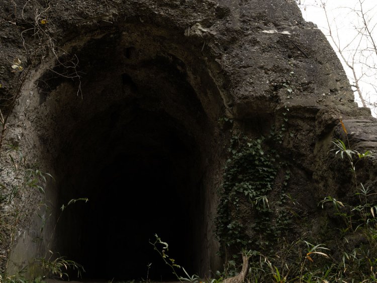 もう一度入り口部分のクローズアップ。蔦が絡まってきており年月の経過を感じさせられる。丸い穴は弾痕であろう。