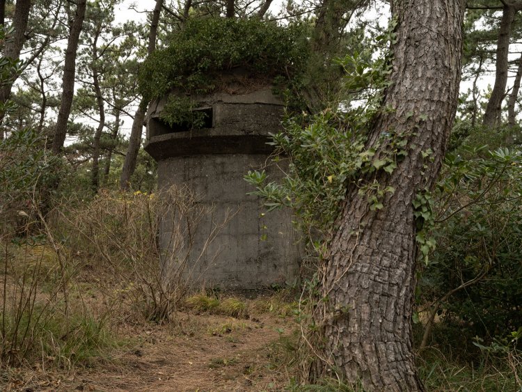 遠くから見つめる。遺構ではあるのだけれども立体美術作品にも思えてきた。