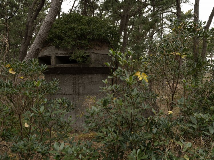 こちらが茂みに潜って見つめる。いよいよ自然との一体感が増してきた。