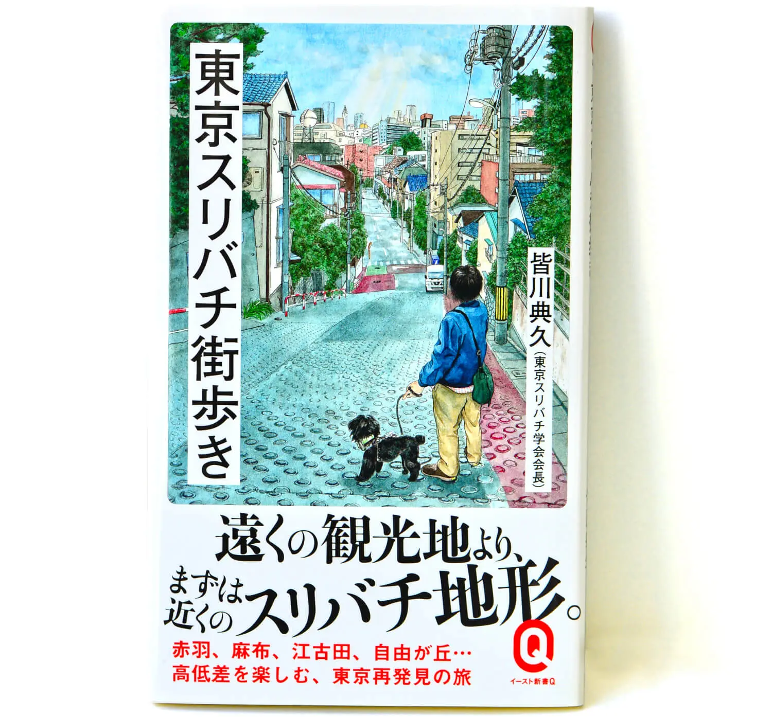 書評 サンポマスター本 東京スリバチ街歩き 皆川典久 著 ほか4冊 今月のサンポマスター本 さんたつ By 散歩の達人