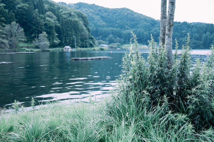 【カメラガールズ】野尻湖