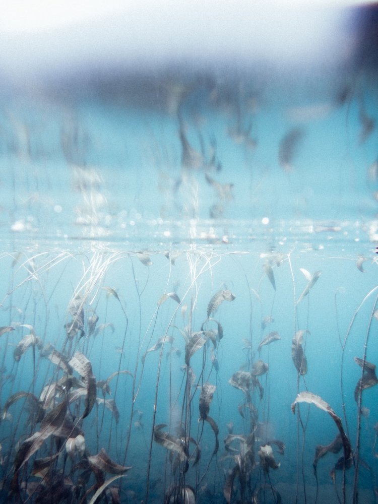 【カメラガールズ】野尻湖