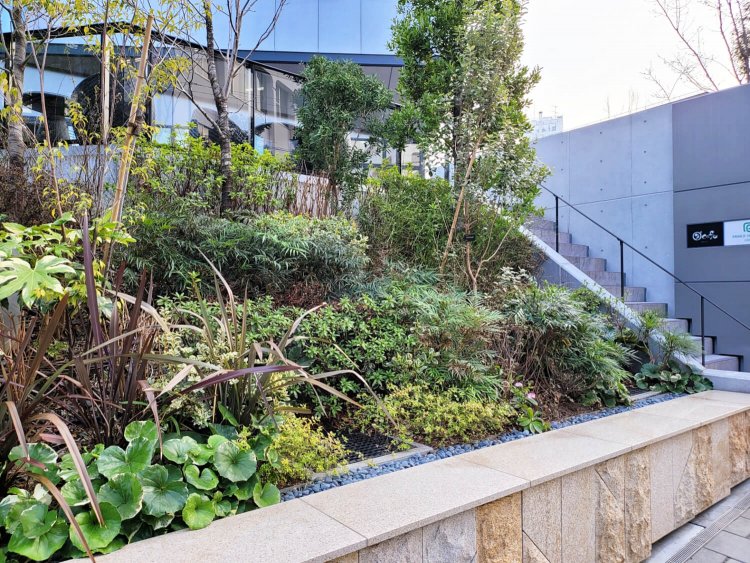 ダカフェ 恵比寿店9