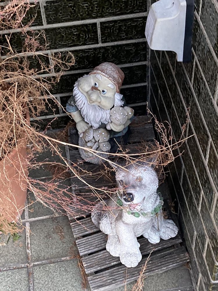 犬とともに魔法にかけられて石化したこびと。はやく解けて欲しい。（調布）