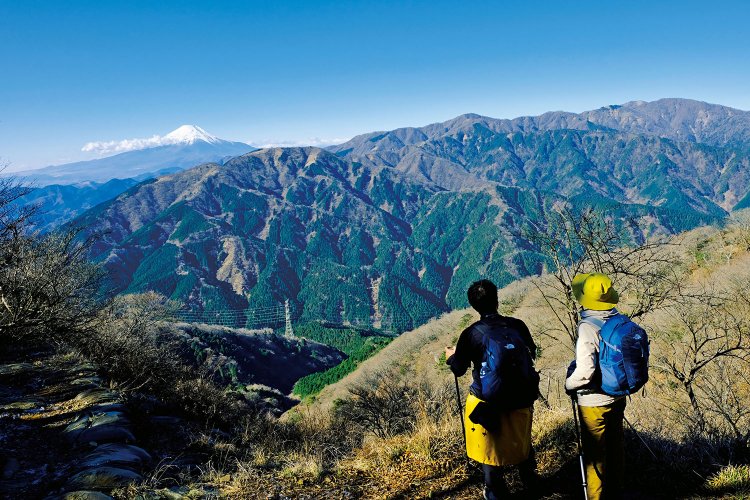 大山山頂からの眺望もいいが、表参道と合流する手前の眺望がおすすめ。表尾根の三ノ塔、塔ノ岳も見える。