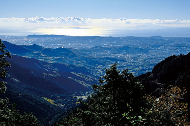 ヤビツ峠がすでに標高が高いので、ちょっと登っても高度感がある。伊豆大島も見える。