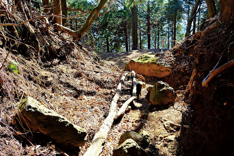 16丁目分岐から先の裏参道は、かなり道が荒れている。整備があまりされていないので、距離の割に体力を消耗する。