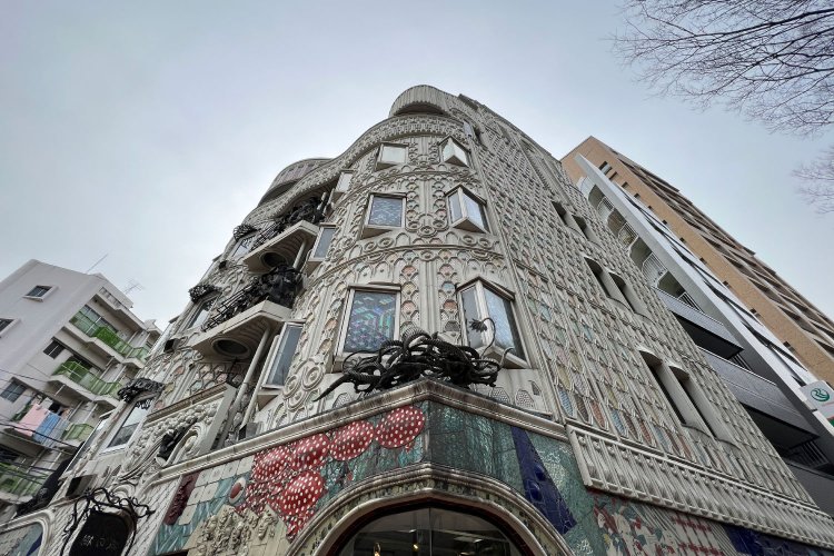 ドラードギャラリー