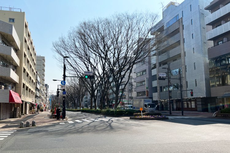 春にはピンクのしだれ桃が美しい早大通り。