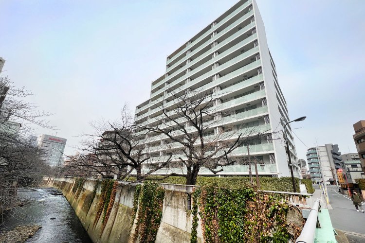 「桜プレイス」は契約期間50年（2062年6月まで）の定期借地権マンション。「ゼネコンの鹿島建設が自ら分譲主となり、高い建築技術を注ぎ込んでいます（石川さん）」。